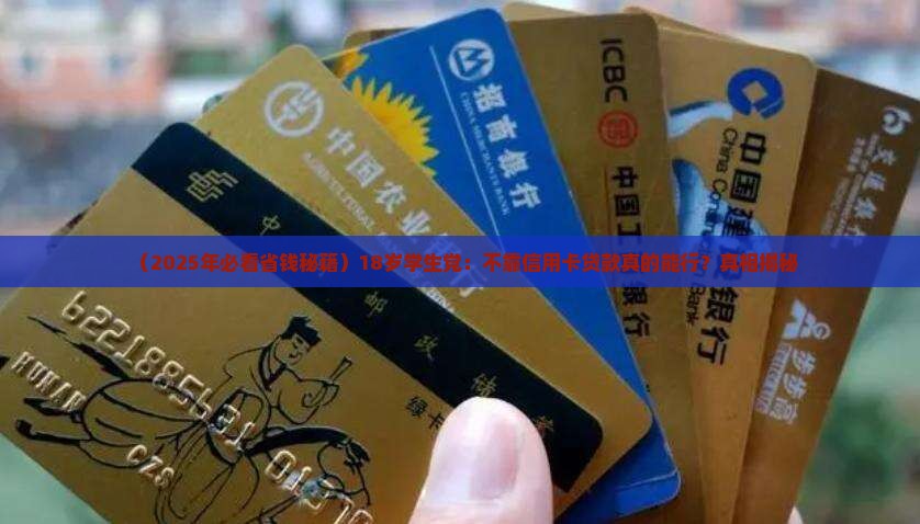 十八岁贷款不用信用卡