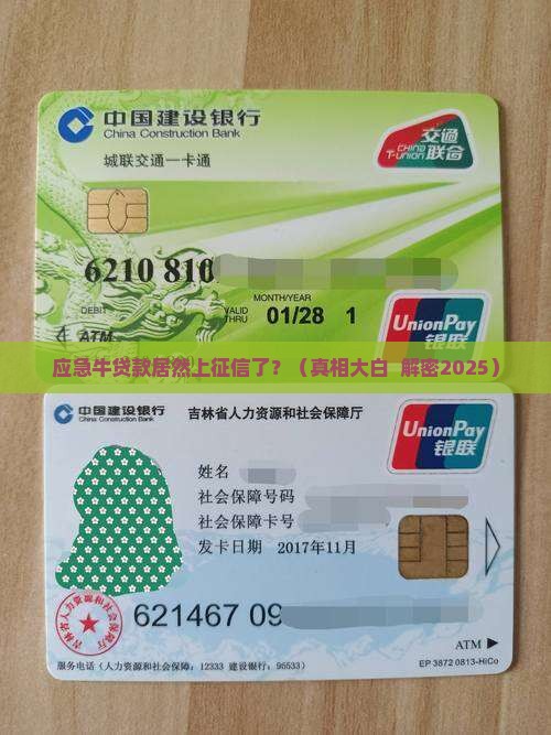 应急牛贷款上征信
