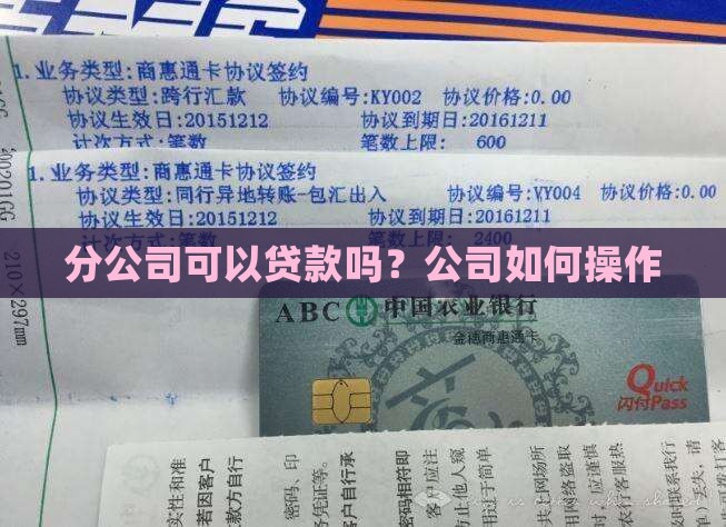分公司现在能不能贷款