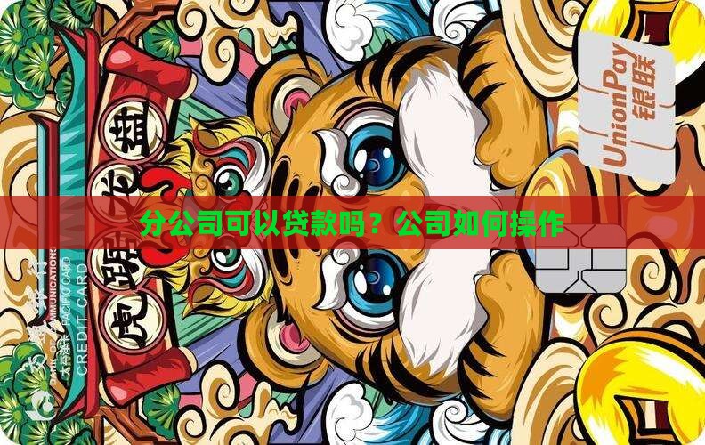 分公司现在能不能贷款