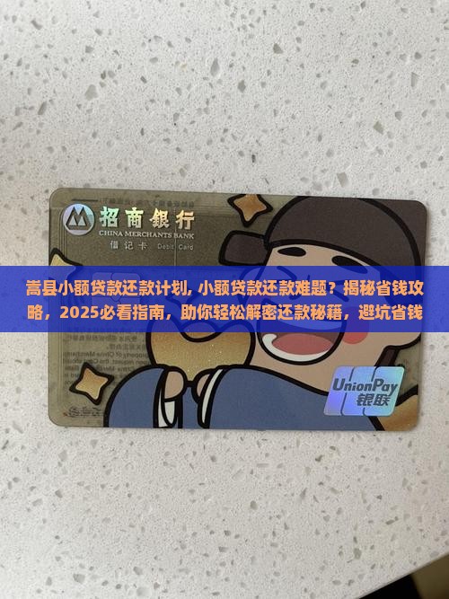 嵩县小额贷款还款计划