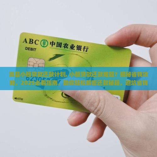 嵩县小额贷款还款计划