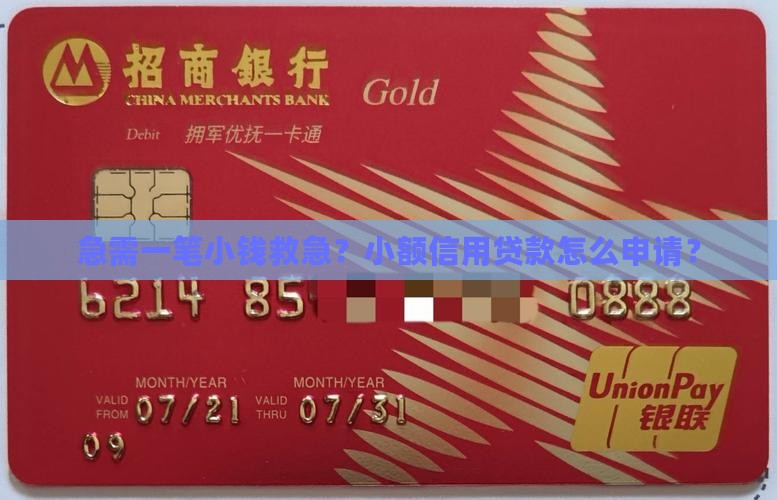 急需一笔小钱救急？小额信用贷款怎么申请？