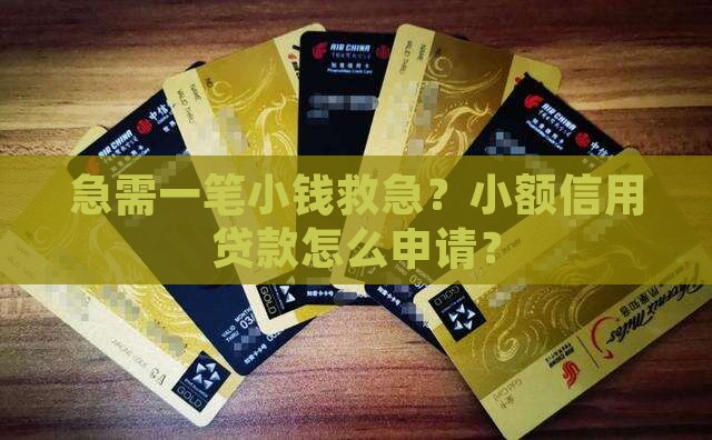 急需一笔小钱救急？小额信用贷款怎么申请？