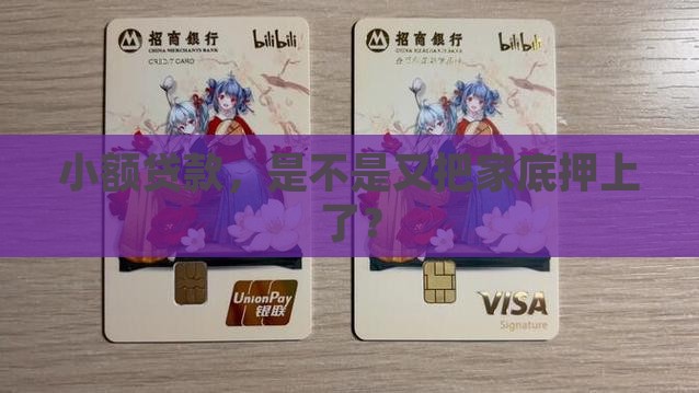 小额贷款，是不是又把家底押上了？