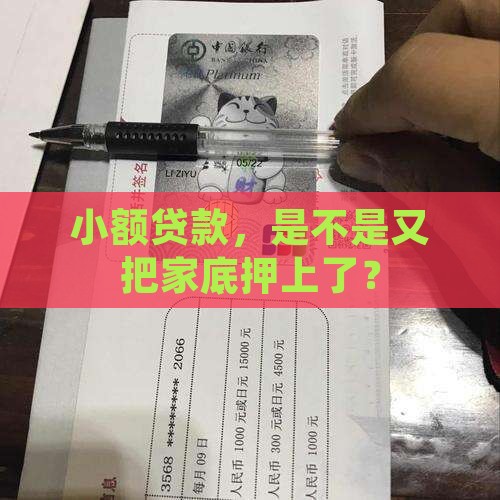小额贷款，是不是又把家底押上了？