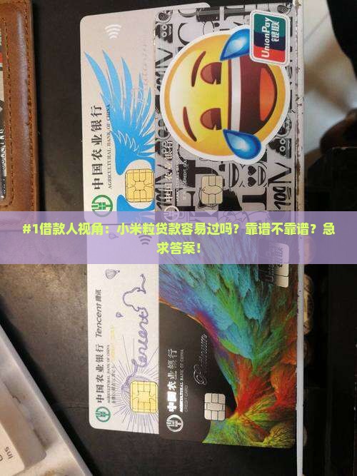 #1借款人视角：小米粒贷款容易过吗？靠谱不靠谱？急求答案！