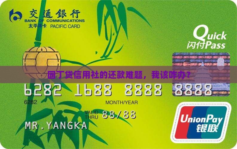 园丁贷信用社的还款难题，我该咋办？