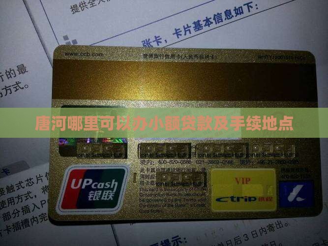 唐河哪里可以办小额贷款及手续地点