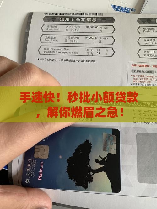 手速快！秒批小额贷款，解你燃眉之急！