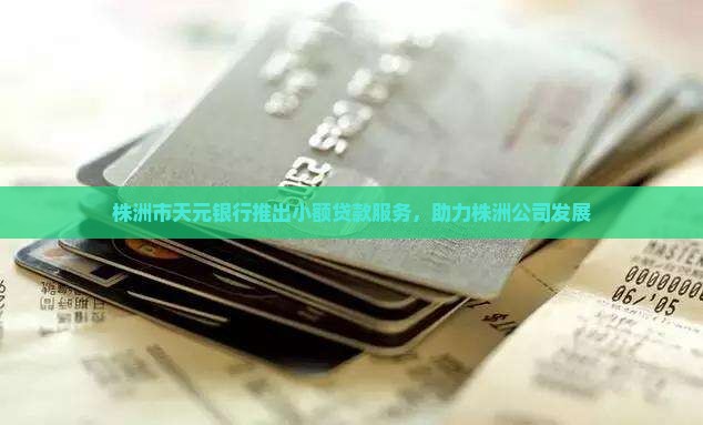 株洲市天元银行推出小额贷款服务，助力株洲公司发展