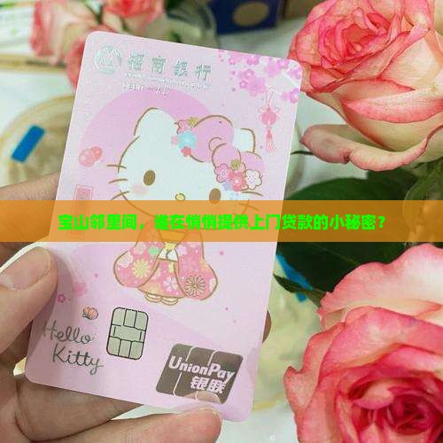 宝山邻里间，谁在悄悄提供上门贷款的小秘密？