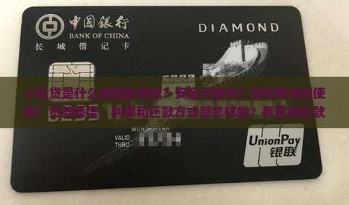 小乐贷是什么类型的贷款？安全可靠吗？如何申请和使用？贷款额度、利率和还款方式是怎样的？有逾期还款的解决方案吗？