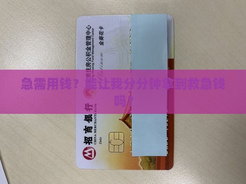 急需用钱？能让我分分钟拿到救急钱吗？