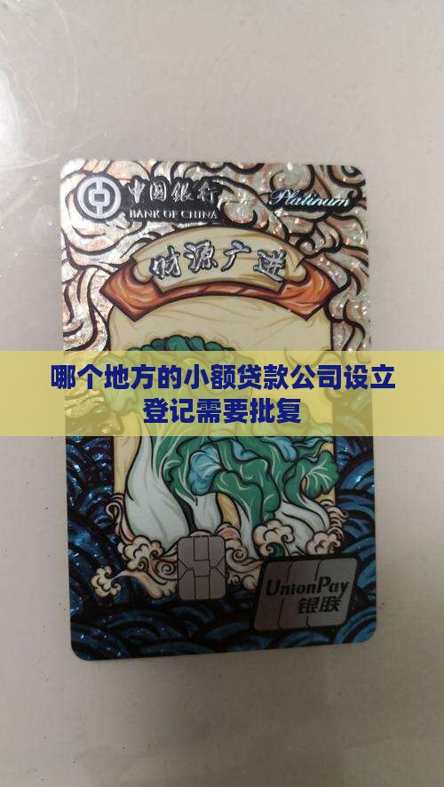 哪个地方的小额贷款公司设立登记需要批复
