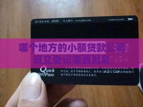 哪个地方的小额贷款公司设立登记需要批复