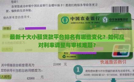 最新十大小额贷款平台排名有哪些变化？如何应对利率调整与审核难题？