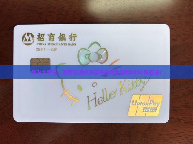 作为大学生，如何从加纳贷款平台安全借到5000元应急？