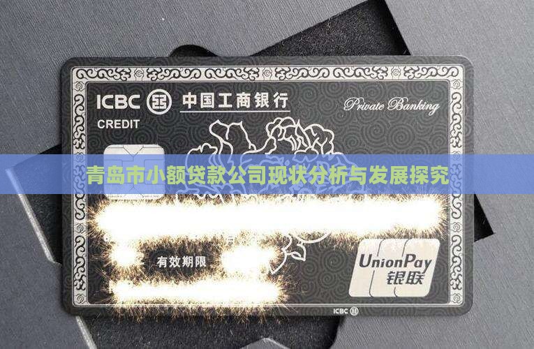 青岛市小额贷款公司现状分析与发展探究