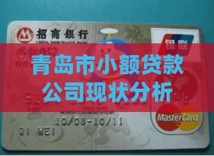 青岛市小额贷款公司现状分析与发展探究
