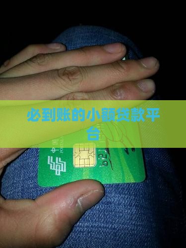 必到账的小额贷款平台