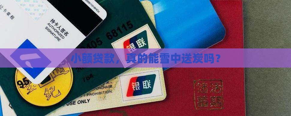 小额贷款，真的能雪中送炭吗？