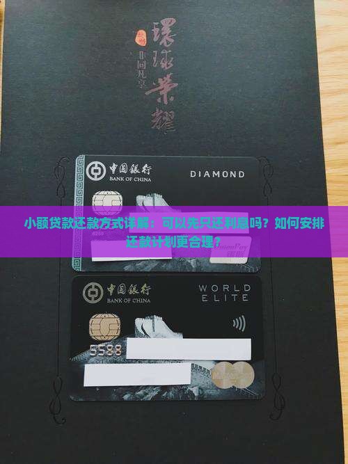 小额贷款还款方式详解：可以先只还利息吗？如何安排还款计划更合理？