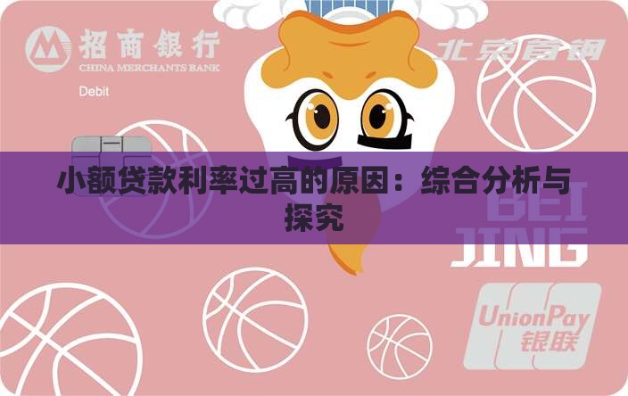 小额贷款利率过高的原因：综合分析与探究