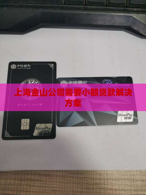 上海金山公司需要小额贷款解决方案