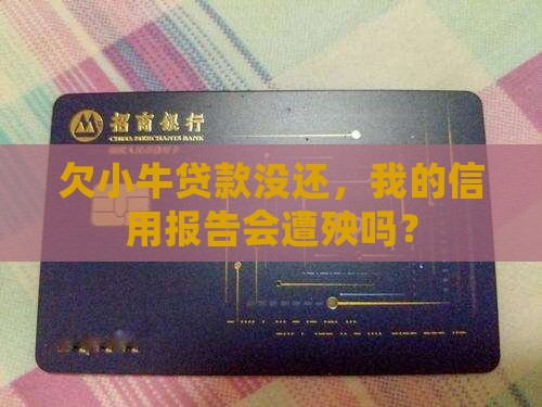 欠小牛贷款没还，我的信用报告会遭殃吗？