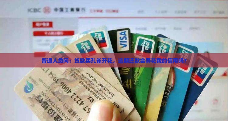 普通人急问：贷款买孔雀开花，逾期还款会弄花我的信用吗？