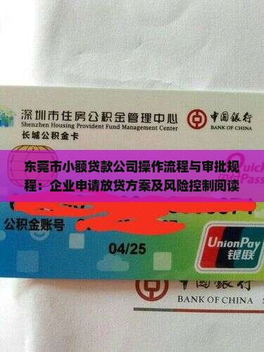 东莞市小额贷款公司操作流程与审批规程：企业申请放贷方案及风险控制阅读实施指南