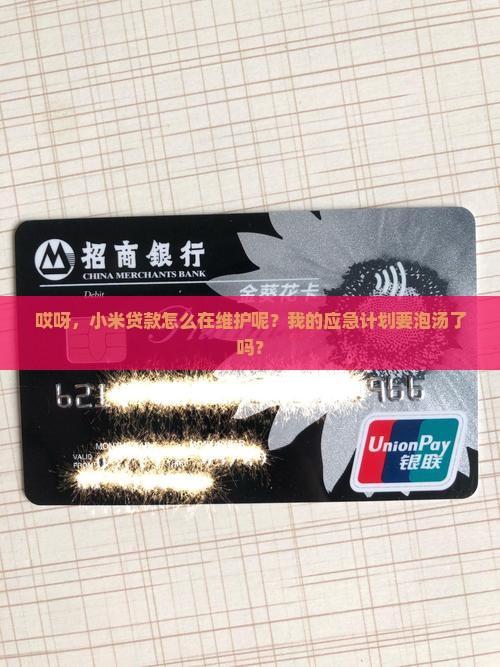 哎呀，小米贷款怎么在维护呢？我的应急计划要泡汤了吗？