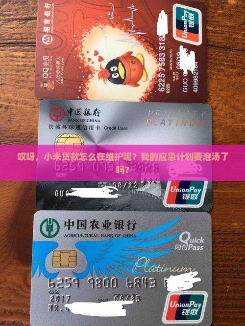 哎呀，小米贷款怎么在维护呢？我的应急计划要泡汤了吗？