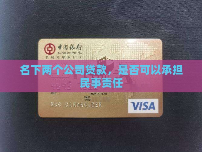 名下两个公司贷款，是否可以承担民事责任