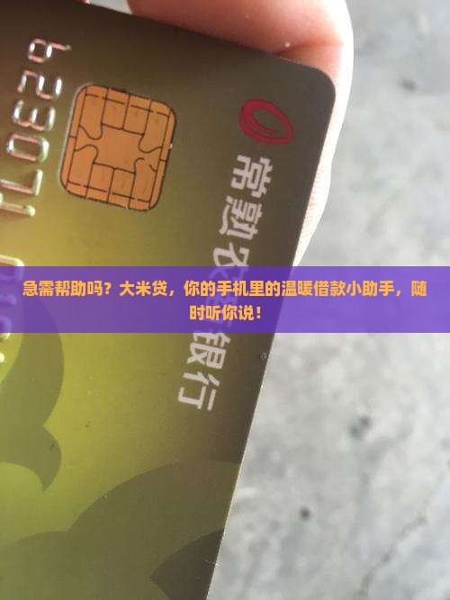 急需帮助吗？大米贷，你的手机里的温暖借款小助手，随时听你说！