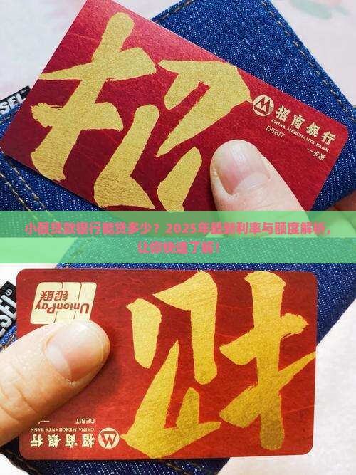 小额贷款银行能贷多少？2025年最新利率与额度解析，让你快速了解！