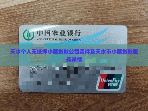 天水个人无抵押小额贷款公司条件及天水市小额贷款服务详情