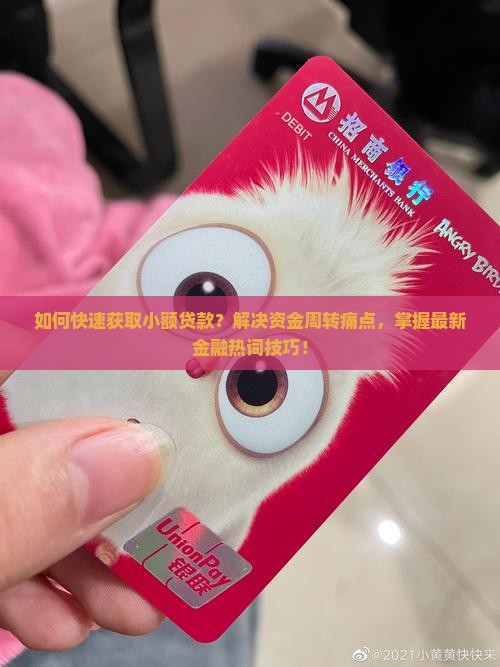 如何快速获取小额贷款？解决资金周转痛点，掌握最新金融热词技巧！