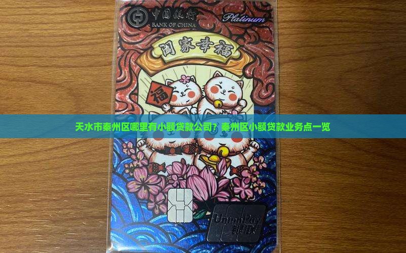 天水市秦州区哪里有小额贷款公司？秦州区小额贷款业务点一览