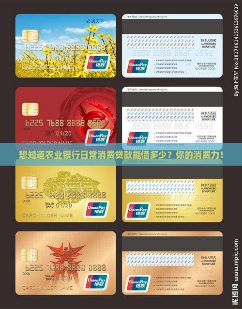 想知道农业银行日常消费贷款能借多少？你的消费力！