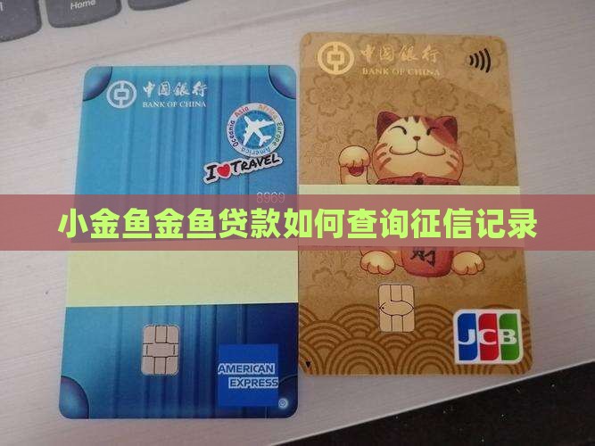 小金鱼金鱼贷款如何查询征信记录
