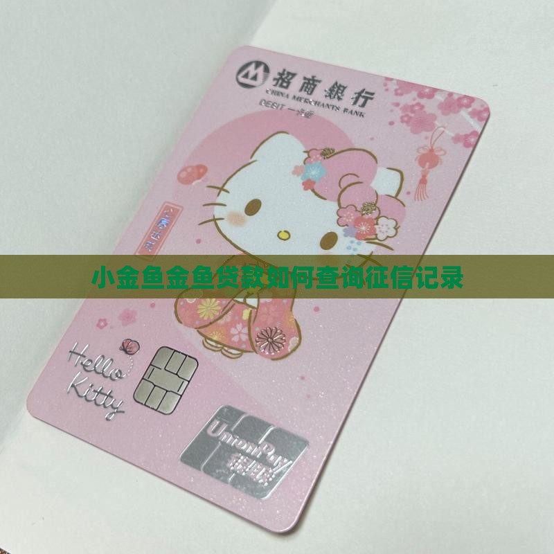 小金鱼金鱼贷款如何查询征信记录