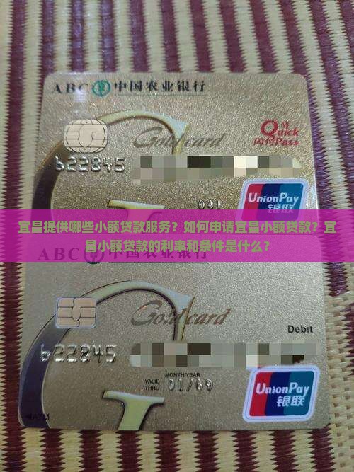 宜昌提供哪些小额贷款服务？如何申请宜昌小额贷款？宜昌小额贷款的利率和条件是什么？