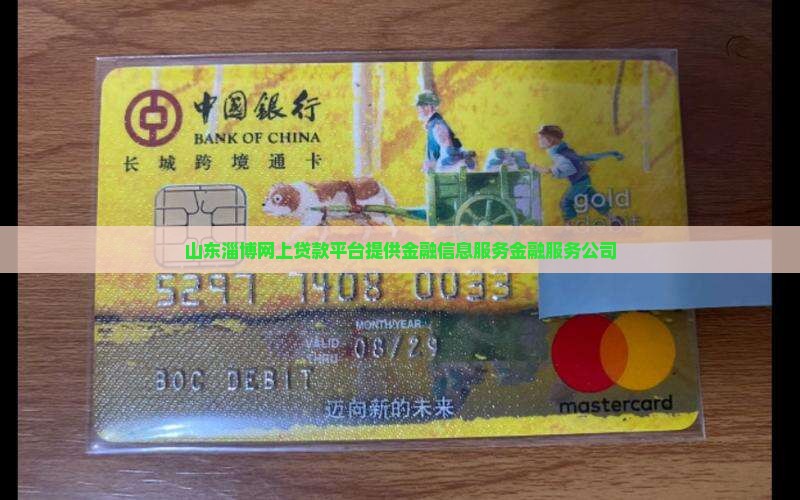山东淄博网上贷款平台提供金融信息服务金融服务公司
