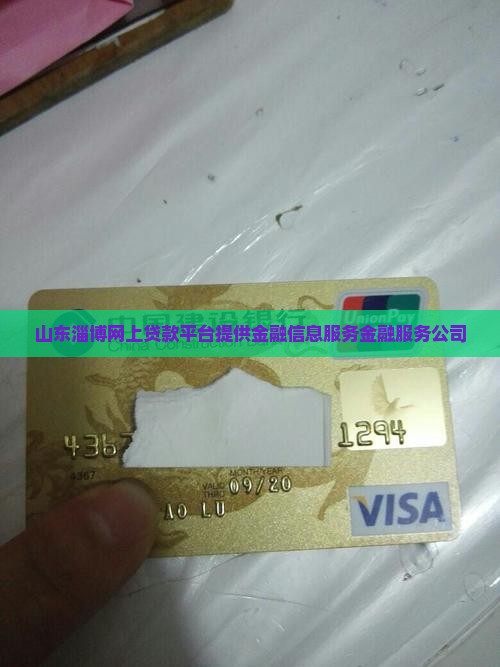 山东淄博网上贷款平台提供金融信息服务金融服务公司