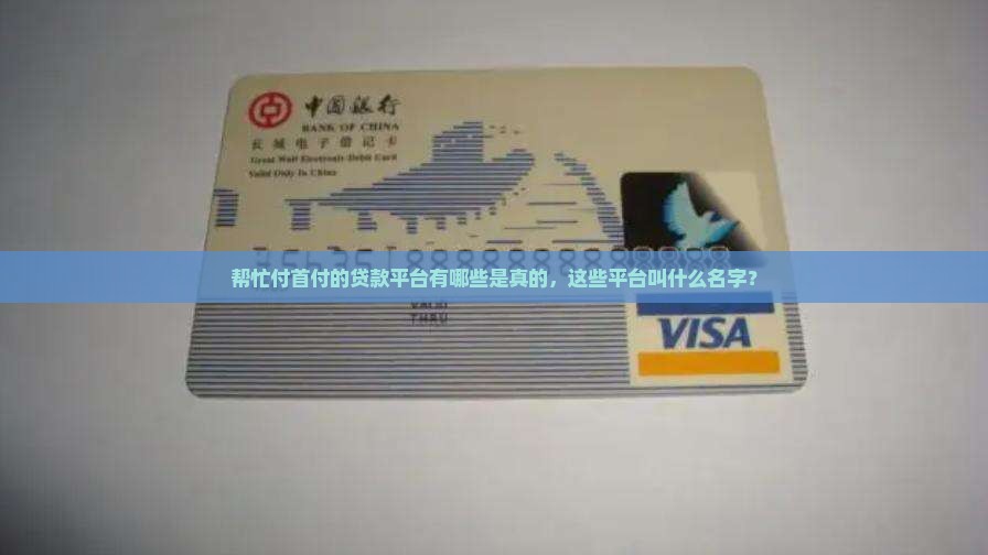 帮忙付首付的贷款平台有哪些是真的，这些平台叫什么名字？