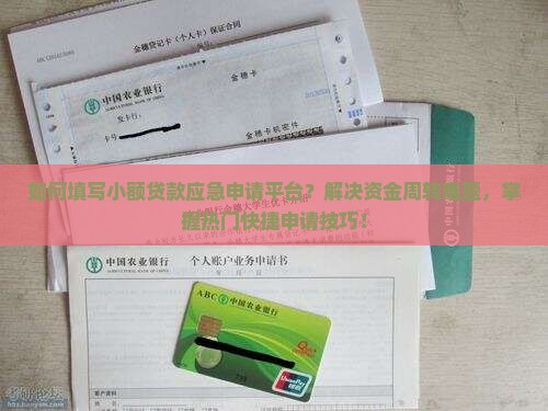 如何填写小额贷款应急申请平台？解决资金周转难题，掌握热门快捷申请技巧！