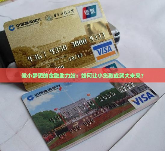 微小梦想的金融助力站：如何让小贷款成就大未来？