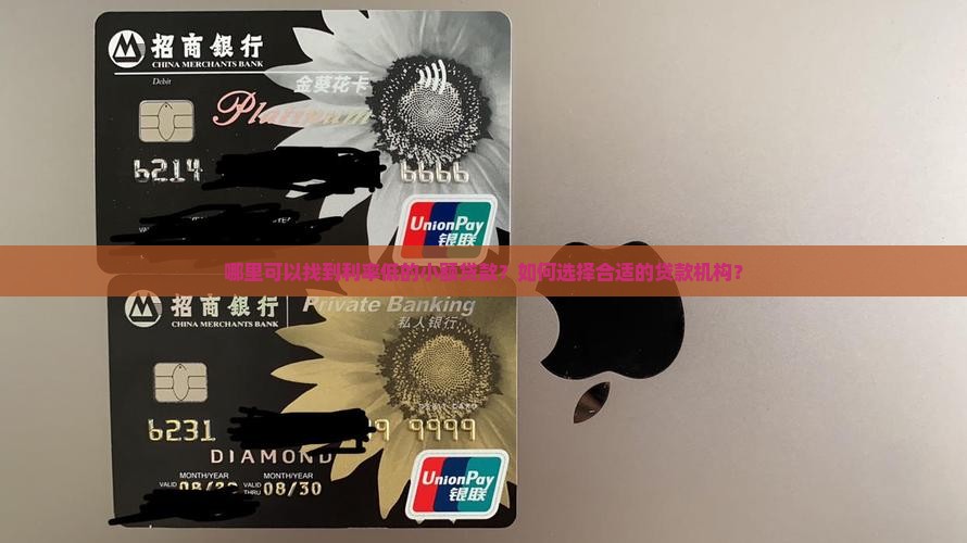 哪里可以找到利率低的小额贷款？如何选择合适的贷款机构？